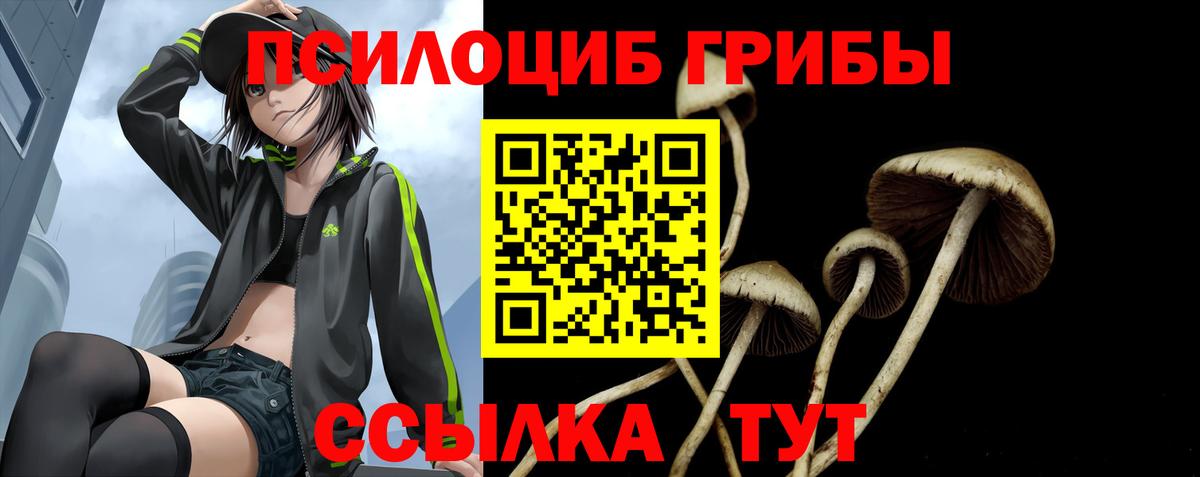 Шуя  Галлюциногенные грибы MAGIC MUSHROOMS  Вход с VPN  купить  сайты  Галлюциногенные грибы Cubensis 